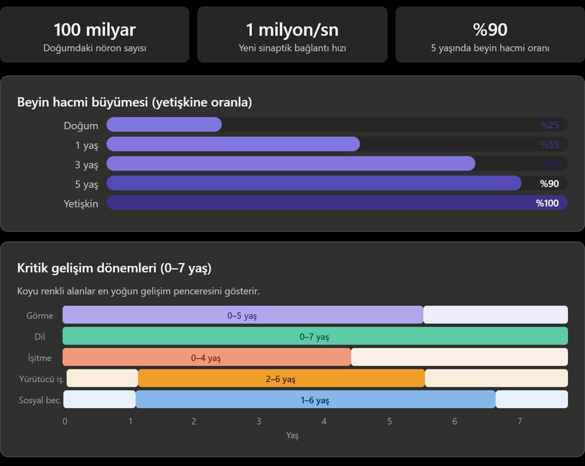 Beyin Gelişimi Grafiği