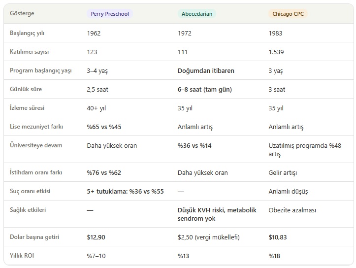 Perry, Abecedarian ve CPC Uzun Erimli Çalışmalarının Özeti