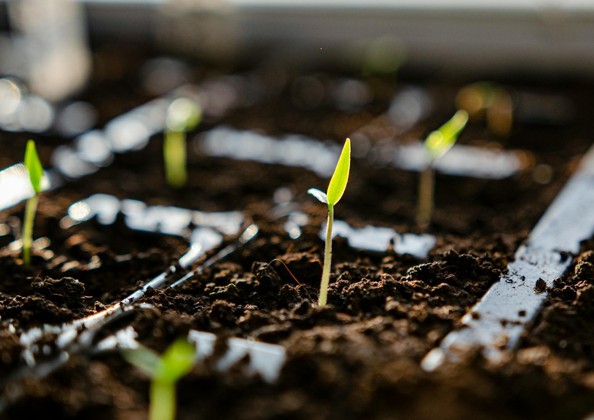 Okul Öncesi Eğitimin Önemi: Geleceği Şekillendiren Kritik Yıllar